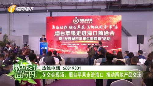 烟台苹果香飘海口 冬交盛会架起南北交流新桥梁