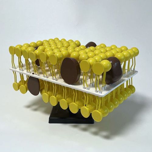 细胞膜流动镶嵌模型 生物课堂的理想教学工具